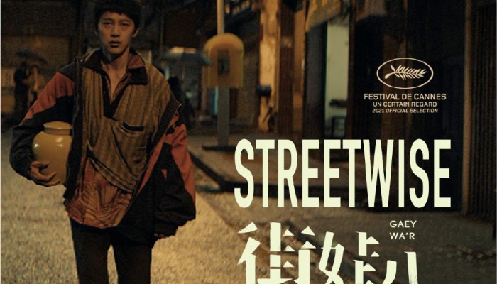 Streetwise: Poster