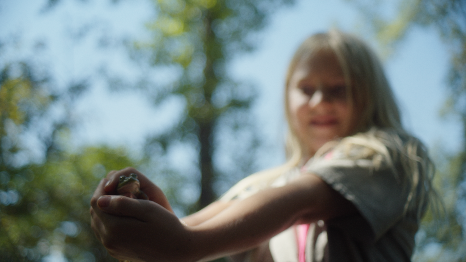 Frogtown Still 1