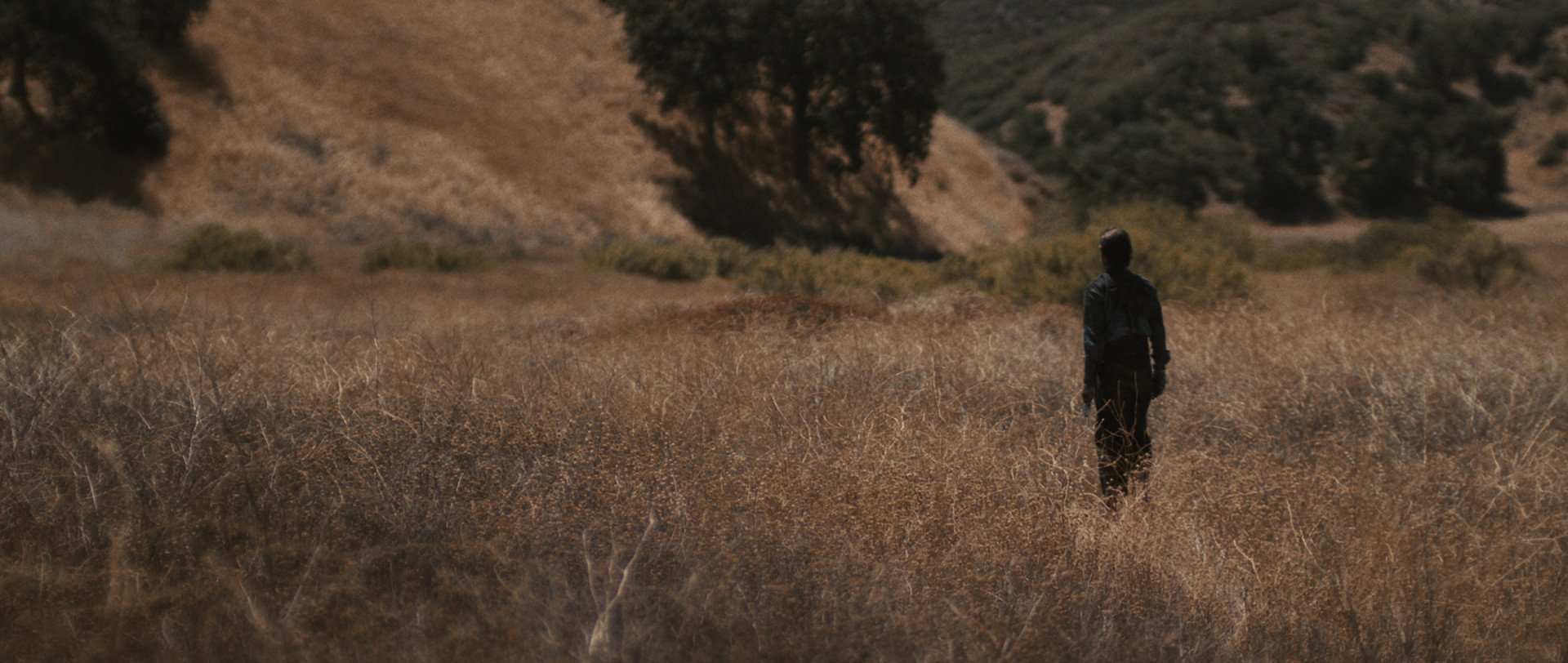 Jackrabbit Still 04