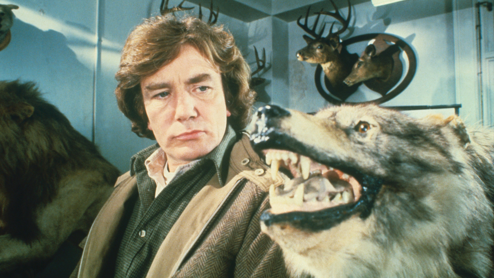 Wolfen v2