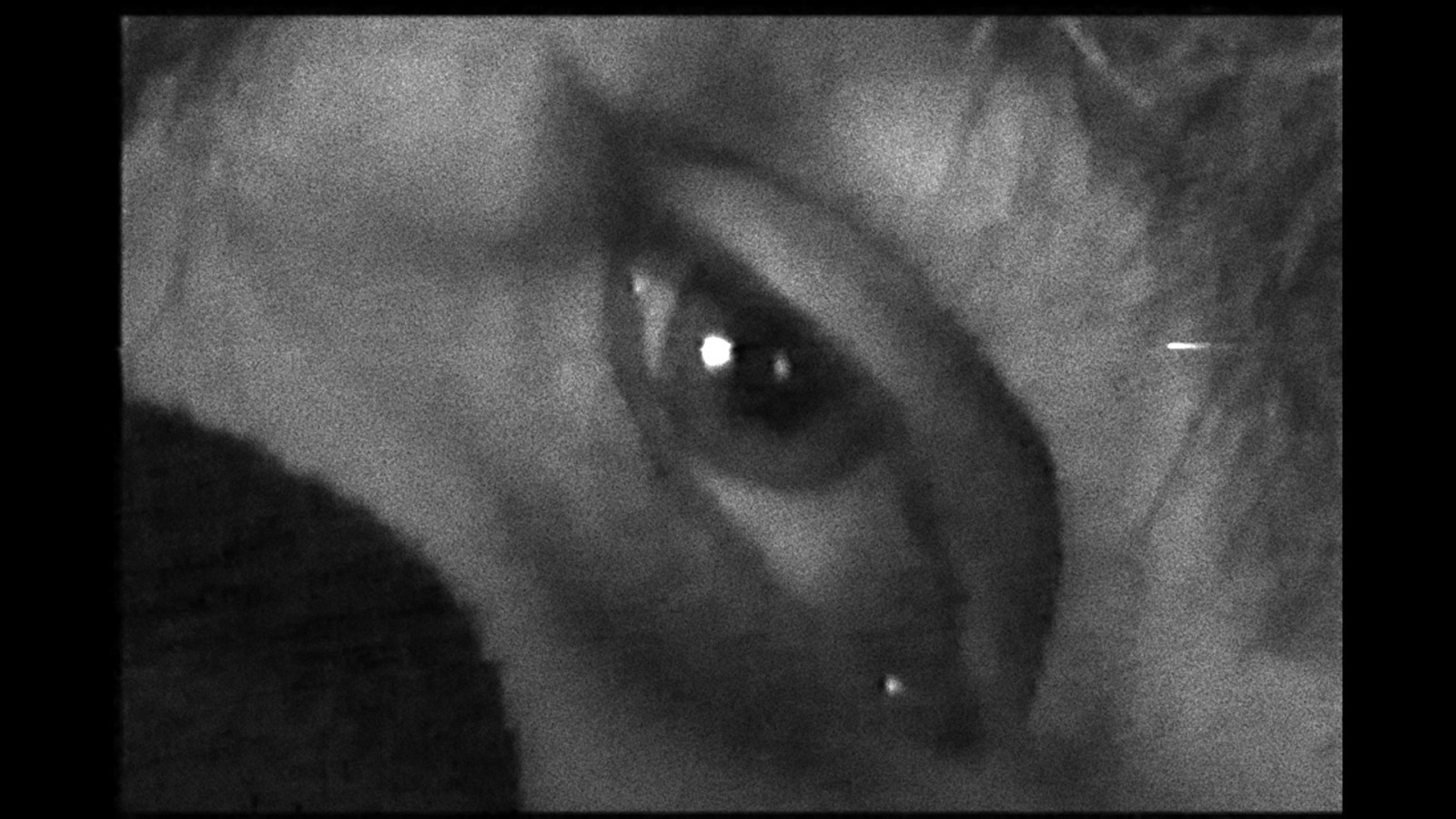 the joyless economy still 2 1920x1080
