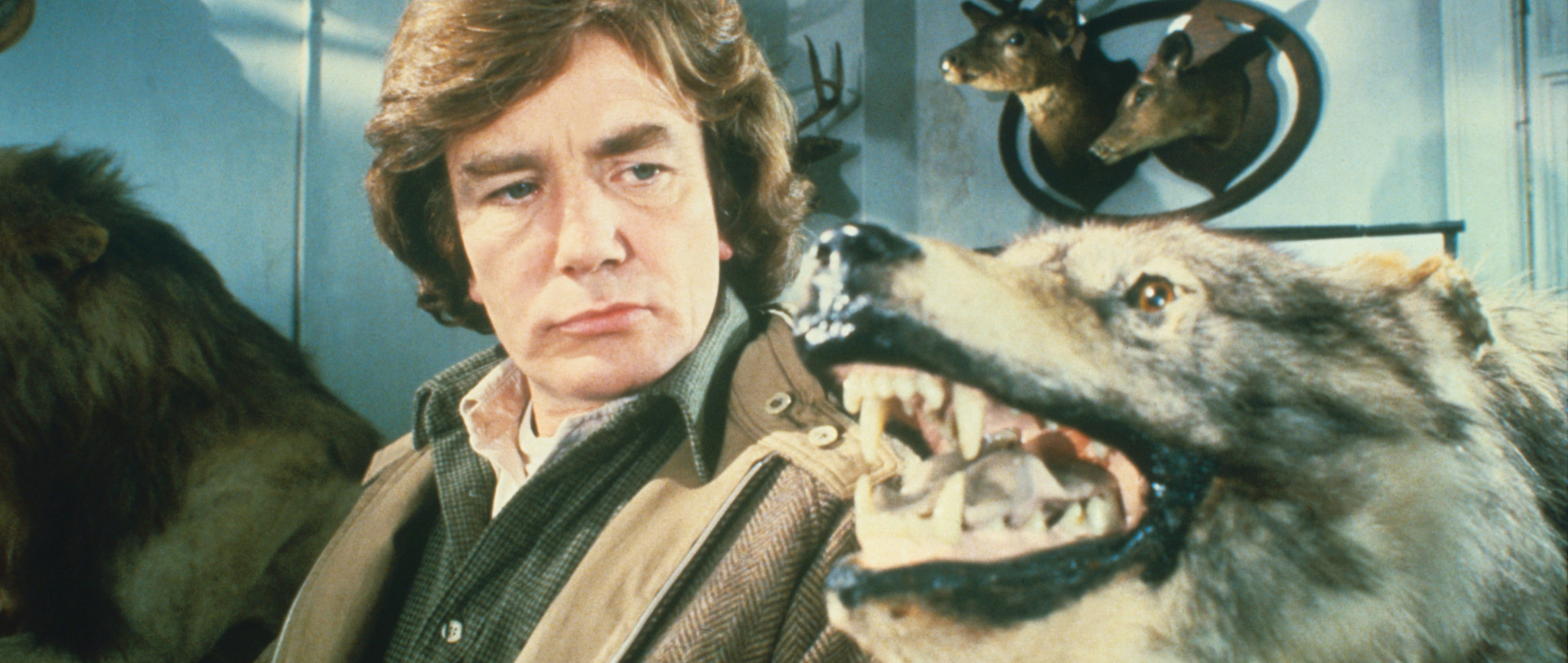 Wolfen
