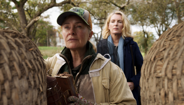 Still 3 Letze Ernte