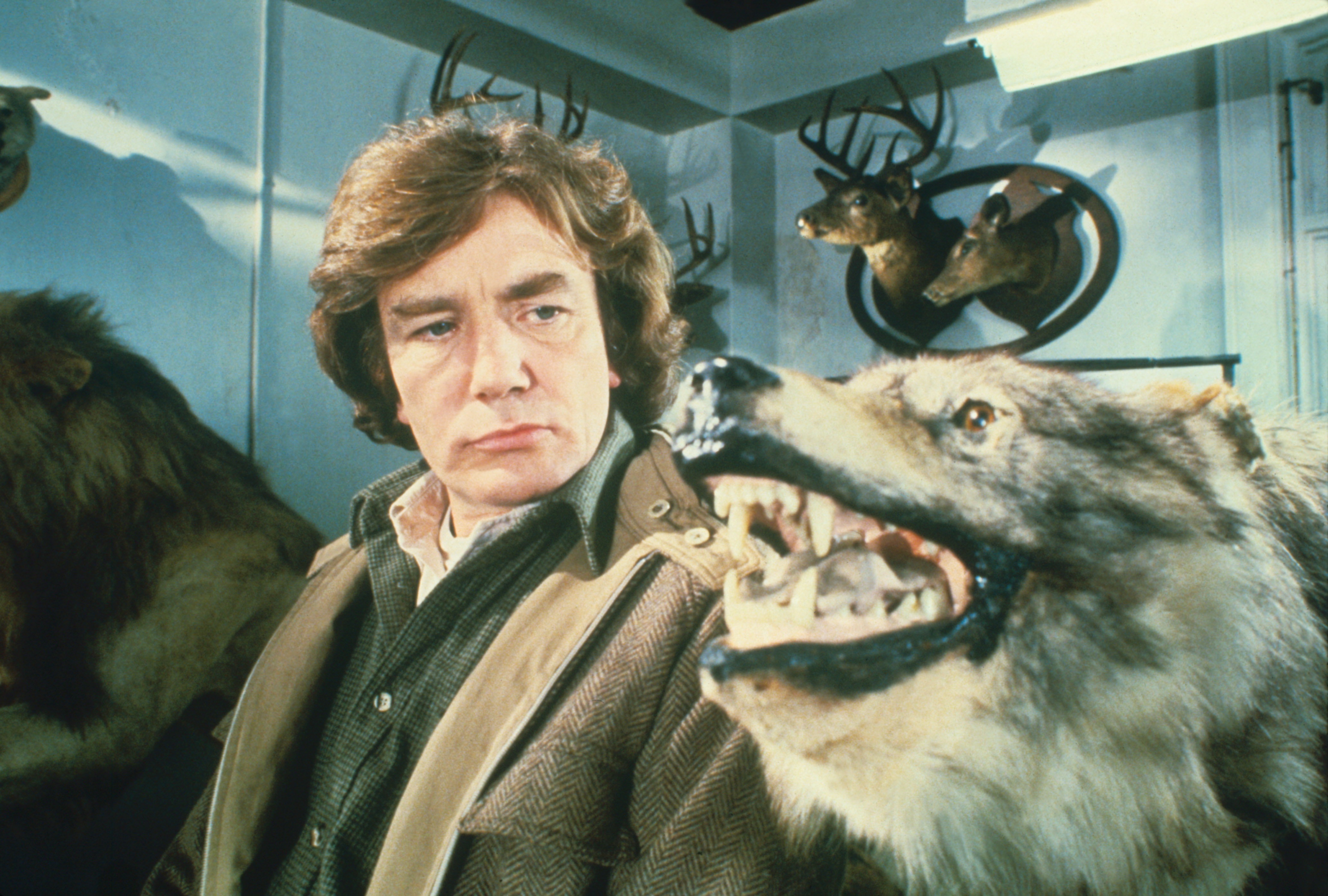 Wolfen